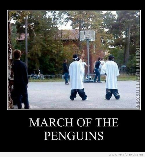 funny-picture-march-of-the-penguins-saggy-pants.jpg