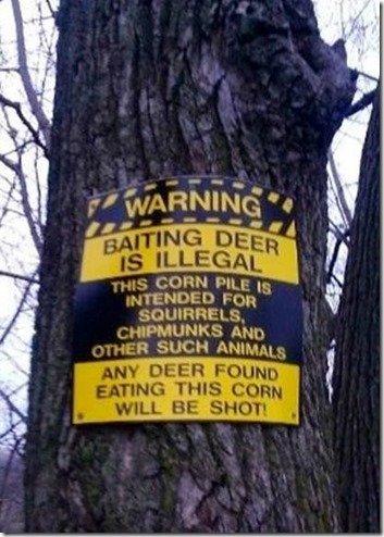 Deer Signage.jpg