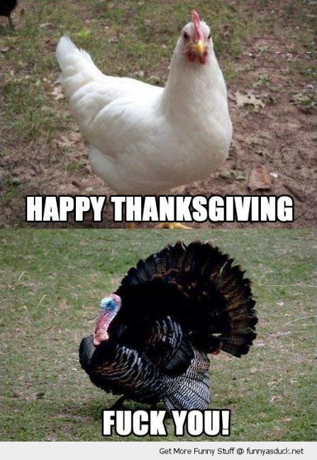 thanksgiving-meme-4.jpg