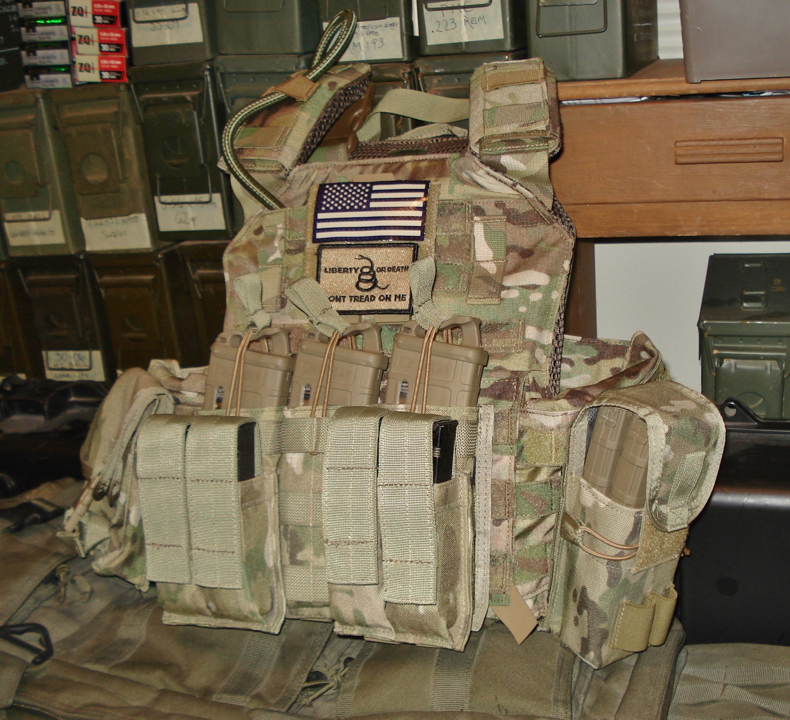 AR500 Testudo Plate Carrier with Tactical Tailor pouches.JPG