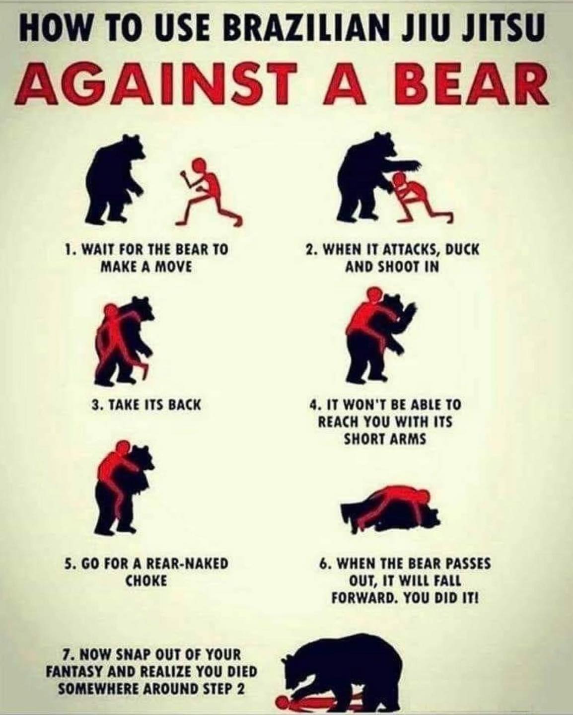 bear advice.jpg