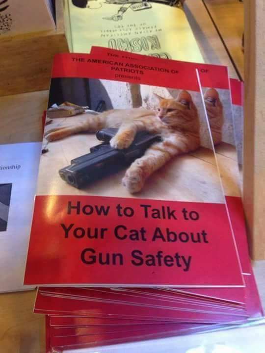 CAT GUN SAFETY.jpg