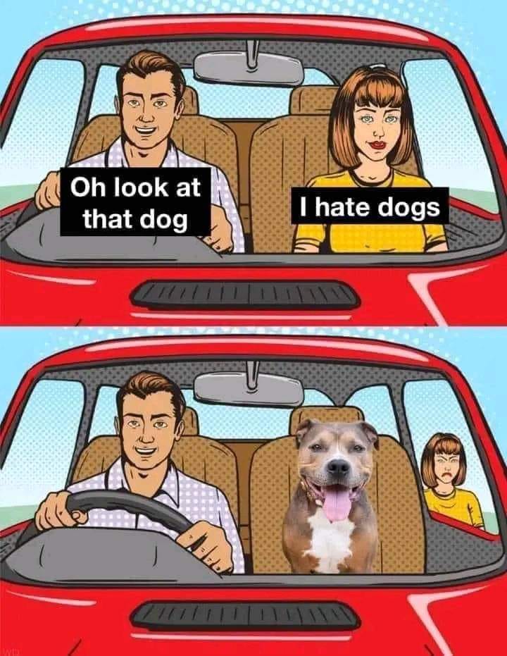 hate dogs eh.jpg