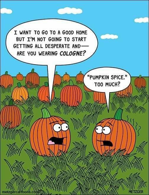 pumpkin logic.jpg