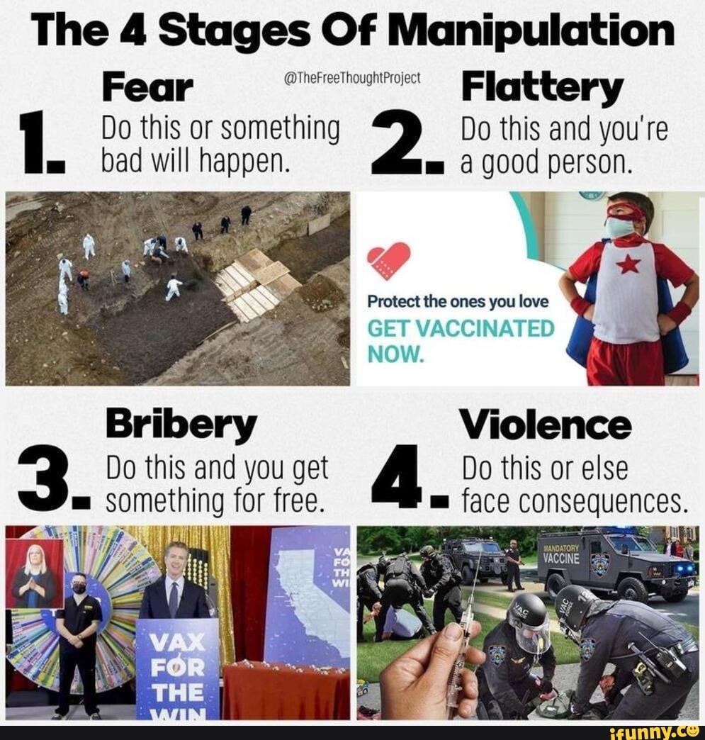 stages of manipulation.jpg