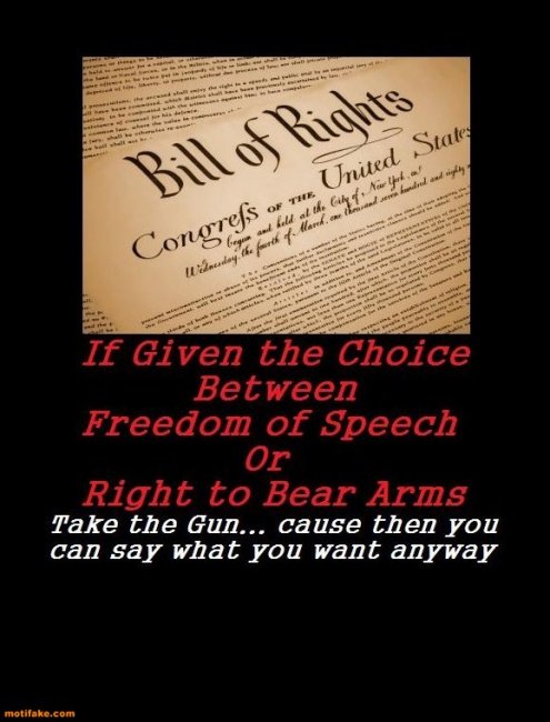 the-right-choice-freedom-speech-guns-rights-bill-demotivational-posters-1343275666.jpg