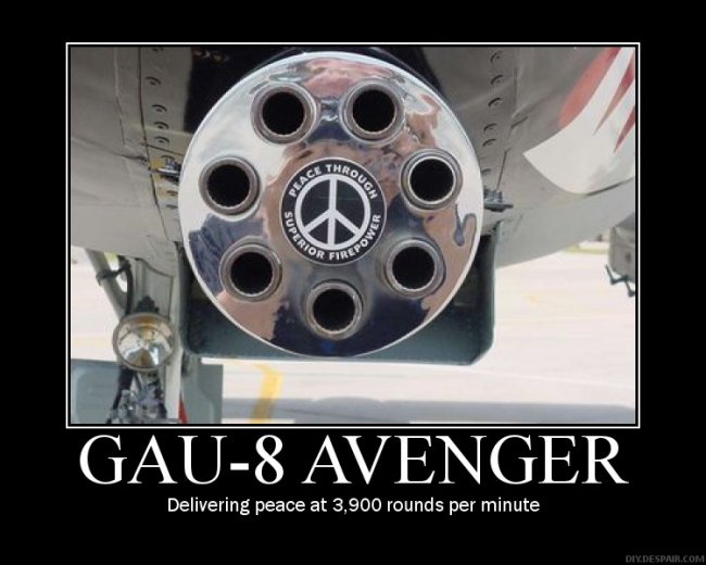 Demotivational_Poster__GAU_8_by_manguskahn.jpg