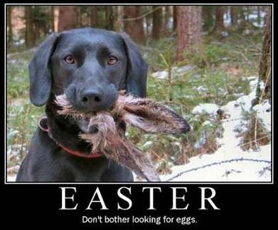 pics_motivational-easter.jpg