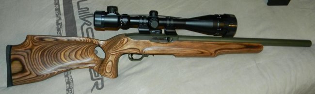 Ruger2.jpg