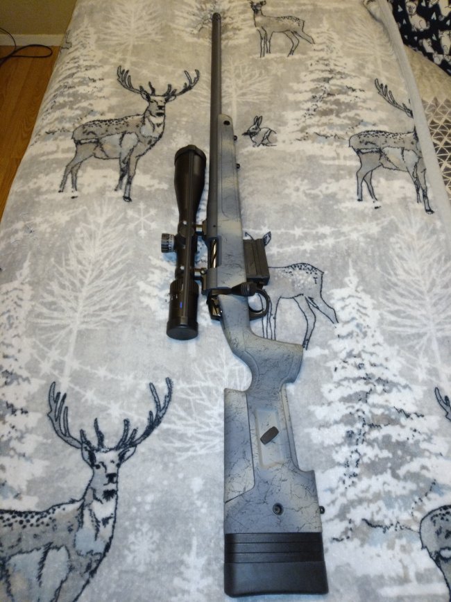 Bergara B14 Hmr Wilderness 6 5 Creedmoor Niceville Fl Florida Alabama Gulf Coast Gun Talk