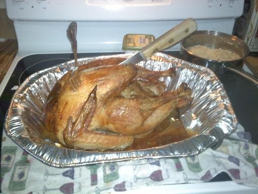 1st turkey.jpg