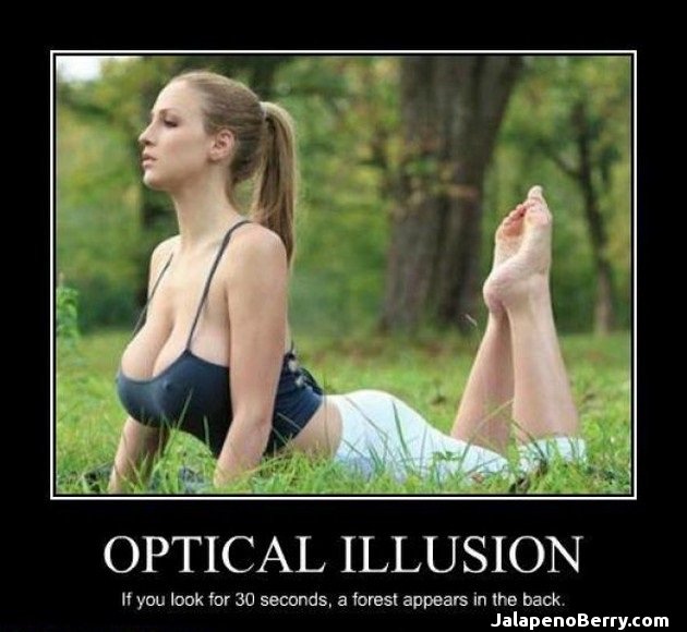 boobs-optical-illusion_admin092914he5df.jpg