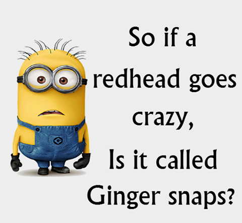 Ginger.png