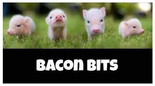 bacon bits.jpg