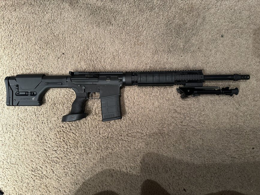 DPMS SASS 1.jpg