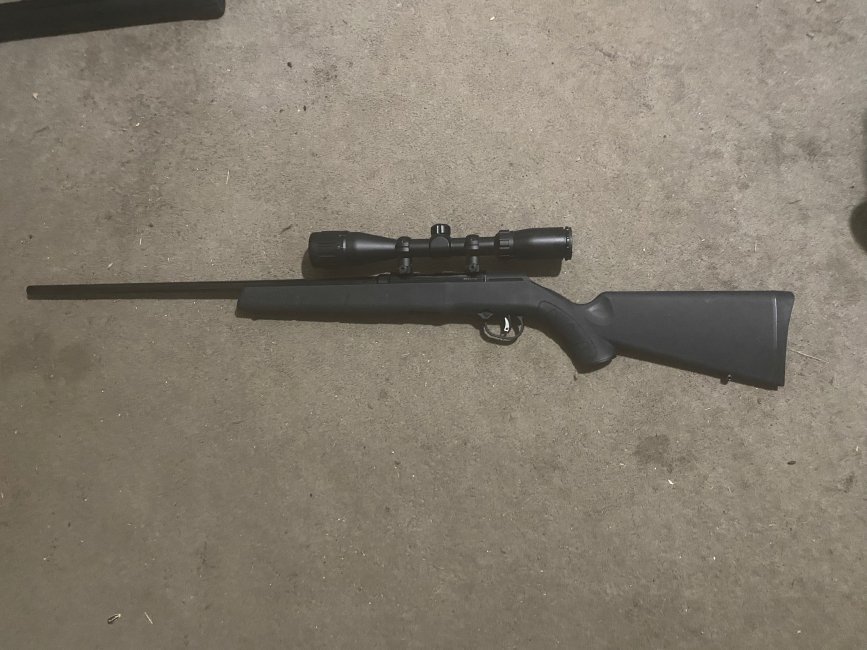 Savage A17 .17 HMR Semi-Auto