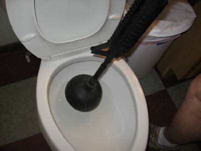 AR15ToiletPlunger.jpg