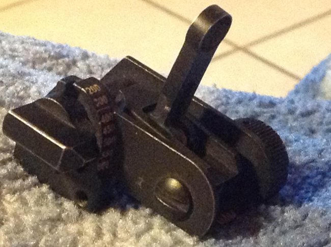 rear sight.jpg